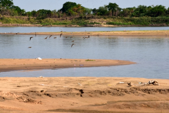 Kekeringan Parah Landa Sungai Paraguay
