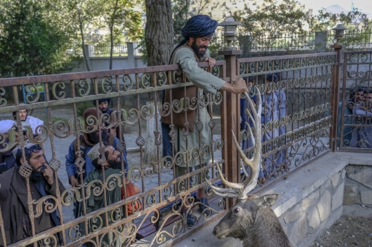Gaya Tentara Taliban Saat Jalan-Jalan di Kebun Binatang Kabul