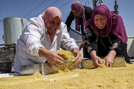 Menengok Pembuatan Maftul, Makanan Tradisional Khas Palestina