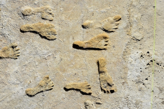 Penemuan Jejak Kaki Manusia Berusia 23.000 Tahun di New Mexico