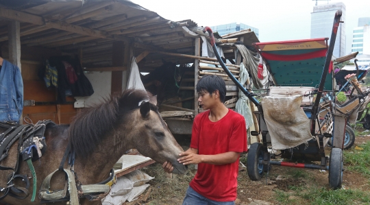 Nasib Kusir Delman yang Berharap Pelonggaran PPKM