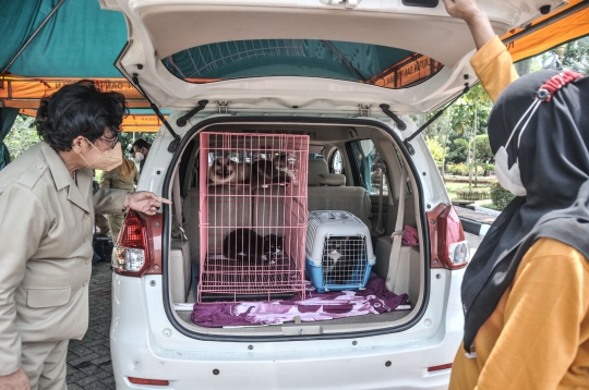 Vaksinasi Rabies Drive Thru di Masa Pandemi