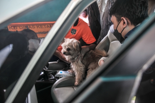 Vaksinasi Rabies Drive Thru di Masa Pandemi