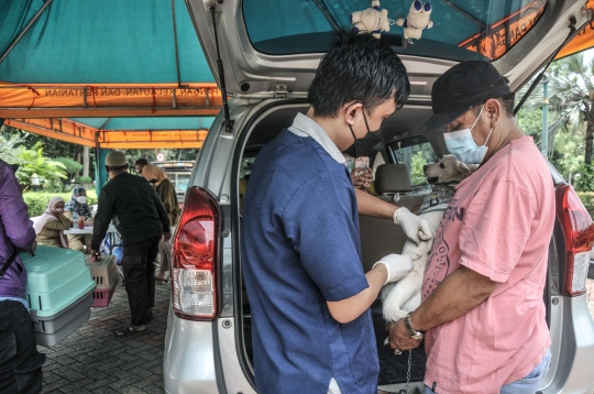 Vaksinasi Rabies Drive Thru di Masa Pandemi