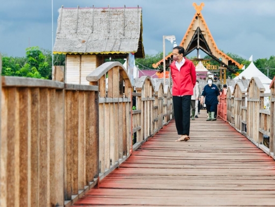 Gaya Jokowi Tanam Mangrove di Bengkalis