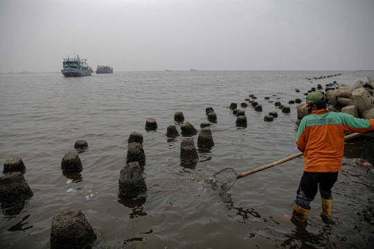 Kondisi Air Laut di Muara Angke yang Tercemar Paracetamol