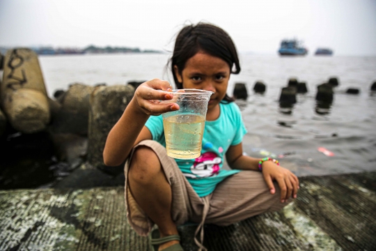 Kondisi Air Laut di Muara Angke yang Tercemar Paracetamol