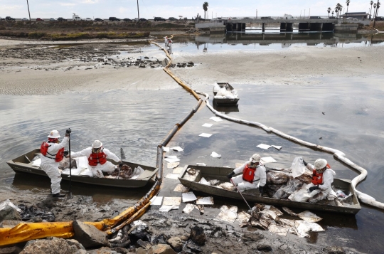 Penampakan Tumpahan Minyak Cemari Pantai di California