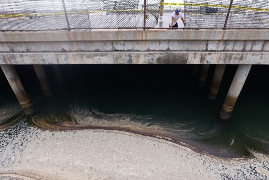 Penampakan Tumpahan Minyak Cemari Pantai di California