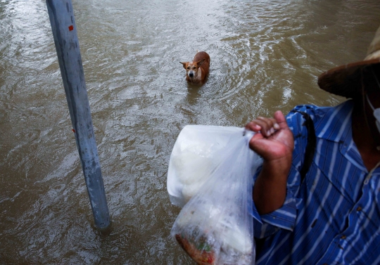 Puluhan Kuil di Kota Bersejarah Thailand Terendam Banjir