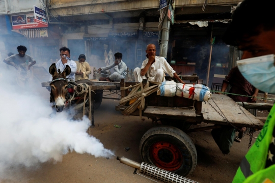 Pengasapan untuk Cegah Virus Dengue di Pakistan