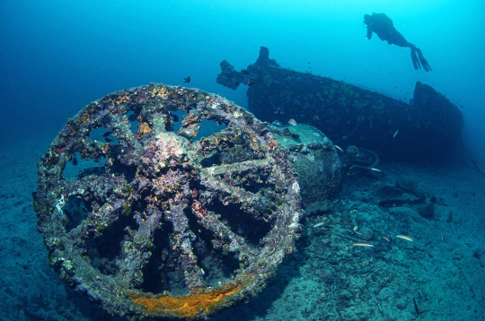 Melihat Bangkai Kapal Perang Dunia I di Dasar Laut Turki