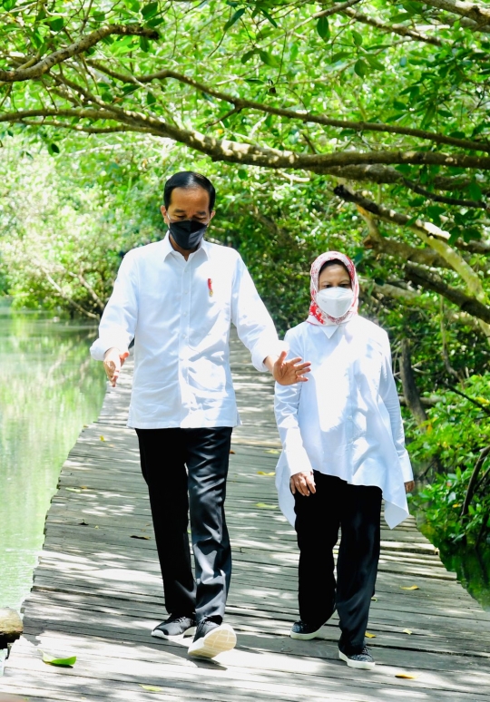 Jokowi dan Iriana Susuri Hutan Mangrove di Bali