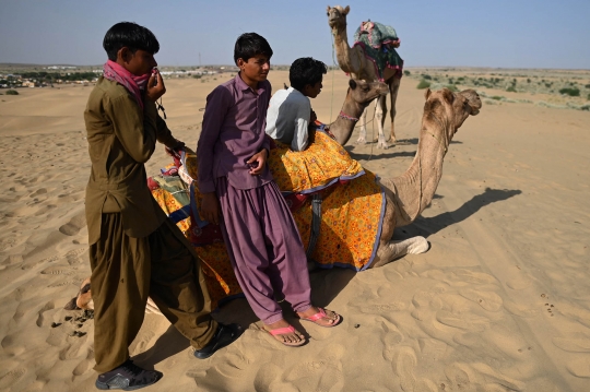 Unta-Unta di Gurun Thar India Menanti Turis