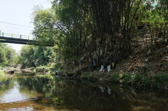 Aksi Membersihkan Pohon dari Jerat Sampah Plastik
