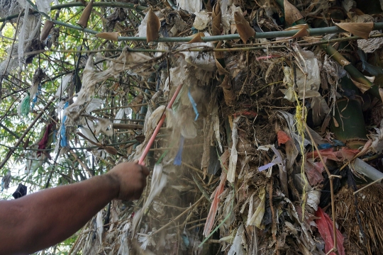 Aksi Membersihkan Pohon dari Jerat Sampah Plastik