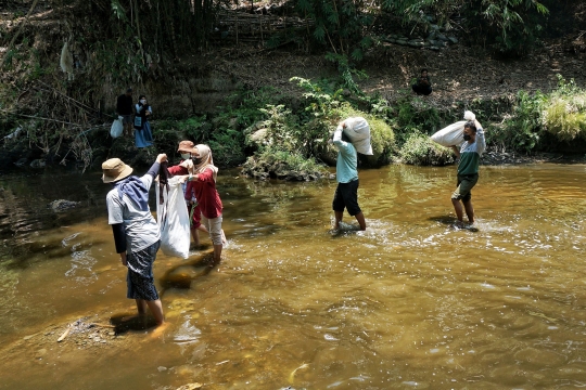 Aksi Membersihkan Pohon dari Jerat Sampah Plastik