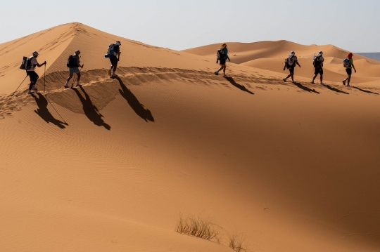 Ganasnya Balap Lari Maraton 250 Km di Gurun Sahara