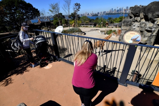 Kembali Dibuka, Warga Sydney Ramai Mengunjungi Kebun Binatang