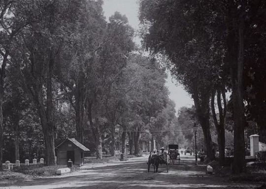 Takkan Menyangka, Ini Potret Kebon Sirih, Menteng, saat Era Belanda, Kampung Banget