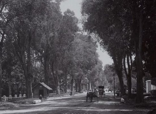 Takkan Menyangka, Ini Potret Kebon Sirih, Menteng, saat Era Belanda, Kampung Banget