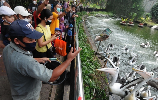 Mulai Hari Ini Taman Margasatwa Ragunan Kembali Dibuka