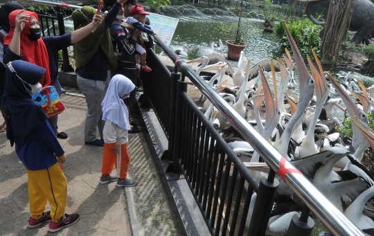 Mulai Hari Ini Taman Margasatwa Ragunan Kembali Dibuka