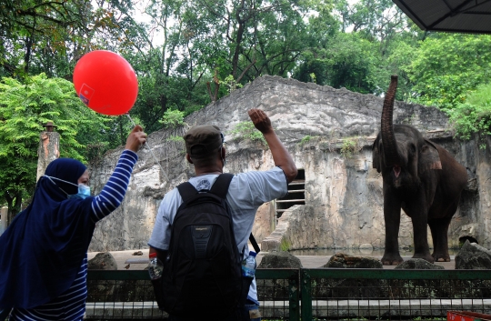 Mulai Hari Ini Taman Margasatwa Ragunan Kembali Dibuka