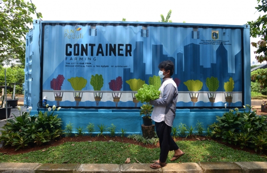 Melihat Budidaya Sayuran Hidroponik di Container Farming