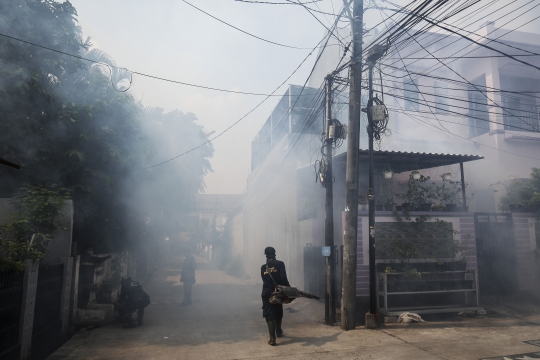 Pengasapan untuk Mencegah DBD di Ibu Kota