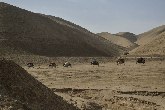 Potret Warga di Pelosok Afghanistan Dilanda Kekeringan