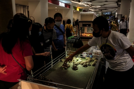 Pameran Reptil di Exotique Pet Expo Senayan