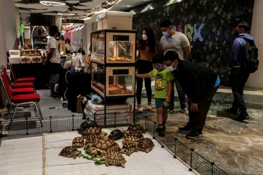 Pameran Reptil di Exotique Pet Expo Senayan