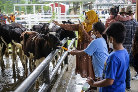 Pengunjung Padati Wisata Kawasan Puncak