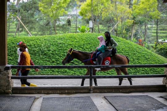 Pengunjung Padati Wisata Kawasan Puncak