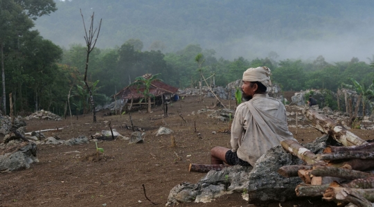 Menengok Rangkaian Tradisi Adat Ngaseuk Suku Baduy di Karangkerit