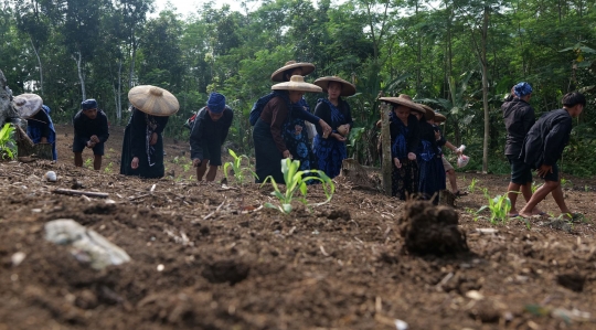 Menengok Rangkaian Tradisi Adat Ngaseuk Suku Baduy di Karangkerit