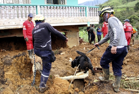 11 Orang Tewas Akibat Longsor di Kolombia