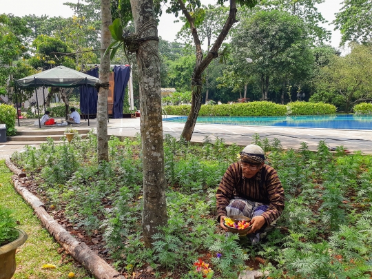 Jasa Pawang Hujan Kembali Menggeliat Seusai PPKM Diperlonggar