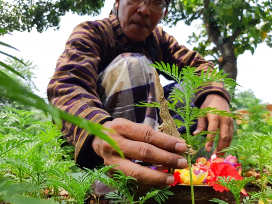 Jasa Pawang Hujan Kembali Menggeliat Seusai PPKM Diperlonggar