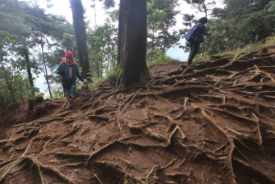 Usai Penurunan Level PPKM, Gunung Prau Kembali Ramai Dikunjungi Pendaki