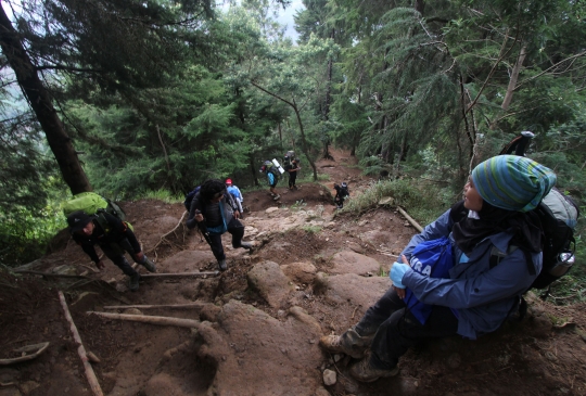 Usai Penurunan Level PPKM, Gunung Prau Kembali Ramai Dikunjungi Pendaki