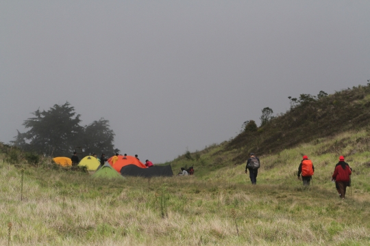 Usai Penurunan Level PPKM, Gunung Prau Kembali Ramai Dikunjungi Pendaki