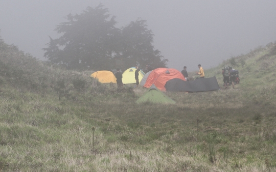 Usai Penurunan Level PPKM, Gunung Prau Kembali Ramai Dikunjungi Pendaki