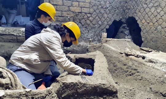 Penemuan Langka Kamar Budak Era Romawi di Kota Kuno Pompeii