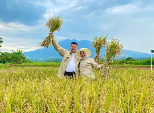 Potret Jenderal Polri Panen Padi, Turun Langsung ke Sawah bareng Anak Istri