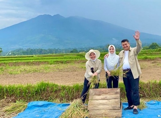 Potret Jenderal Polri Panen Padi, Turun Langsung ke Sawah bareng Anak Istri