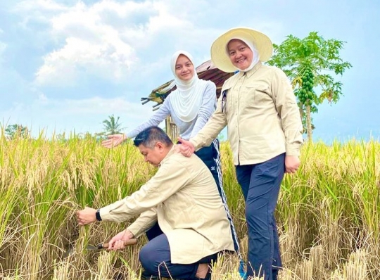 Potret Jenderal Polri Panen Padi, Turun Langsung ke Sawah bareng Anak Istri