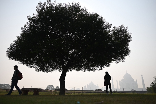 Parahnya Polusi Udara di India, Kantor dan Sekolah Sampai Ditutup
