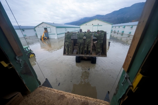 Naik Buldozer, Militer Kanada Selamatkan Ayam-Ayam di Peternakan yang Kebanjiran